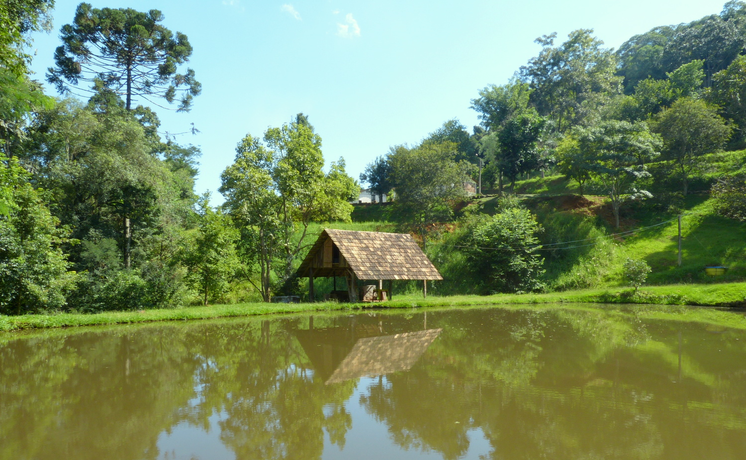 Propriedade Rural Concordia