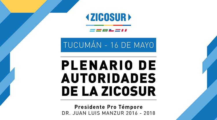 plenario zicosur