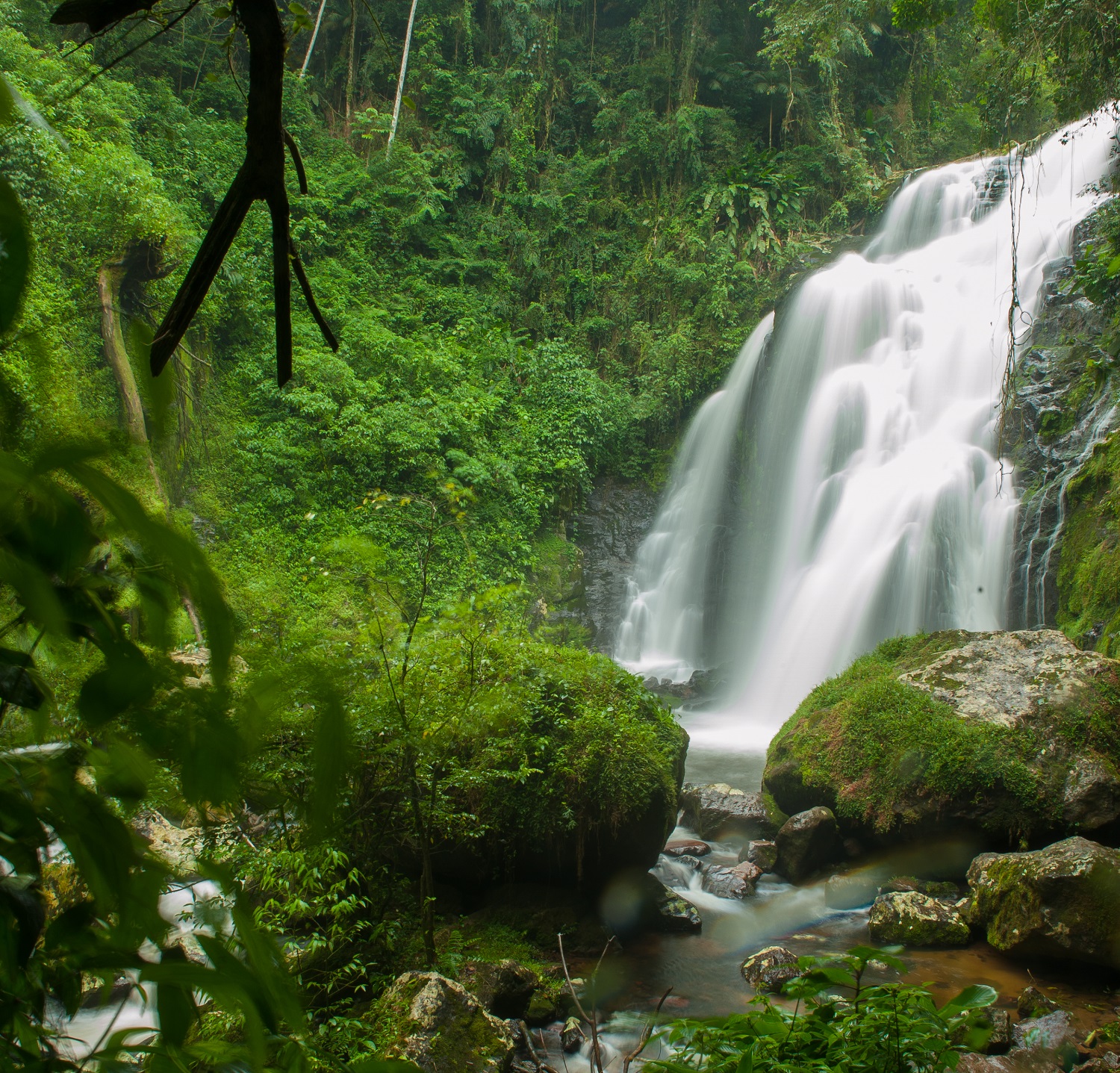 CACHOEIRA Corupa NIK2339 markito