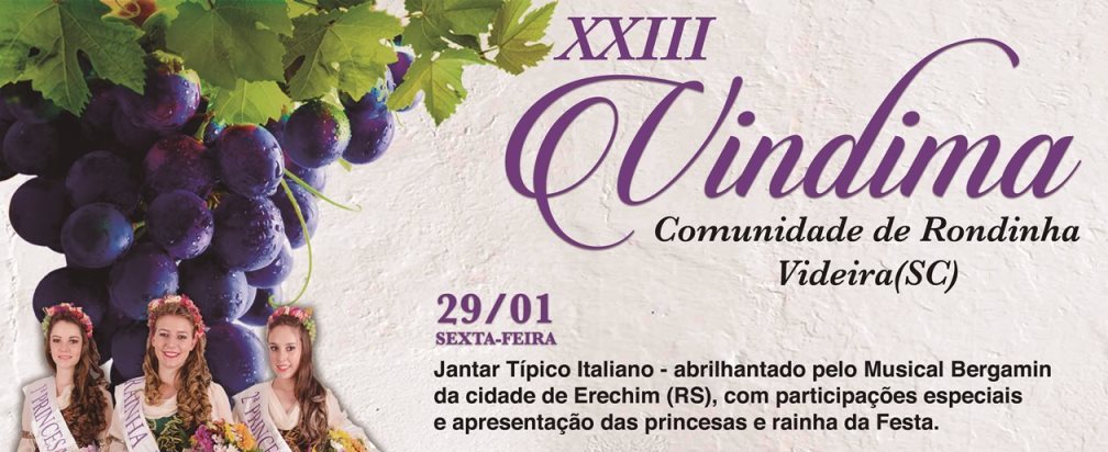 vindima videira